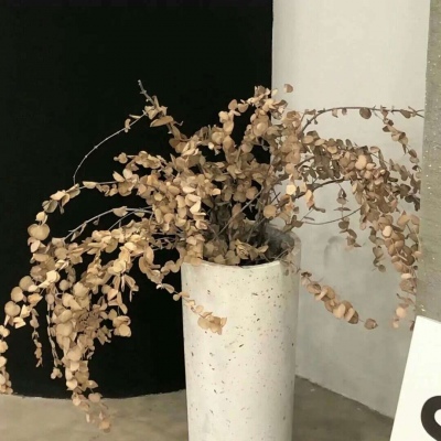 Furry插画素材合集兽圈社群